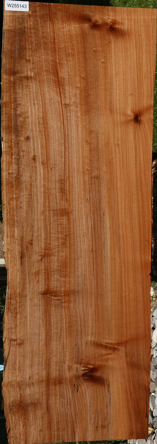 Figured Rustic Maple Live Edge Slab
