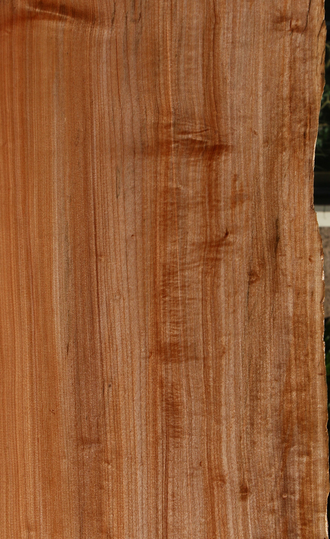 Figured Rustic Maple Live Edge Slab