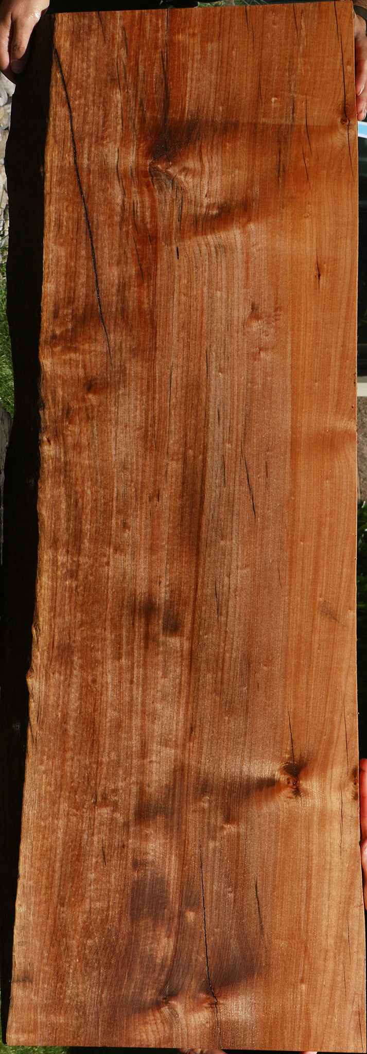 Figured Rustic Maple Live Edge Slab