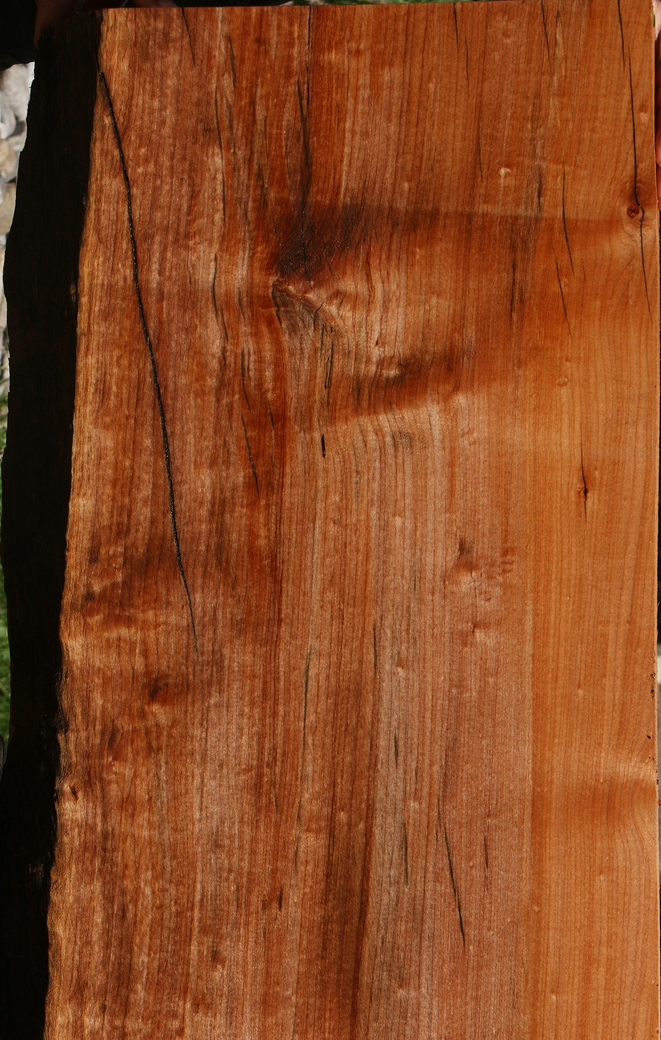 Figured Rustic Maple Live Edge Slab