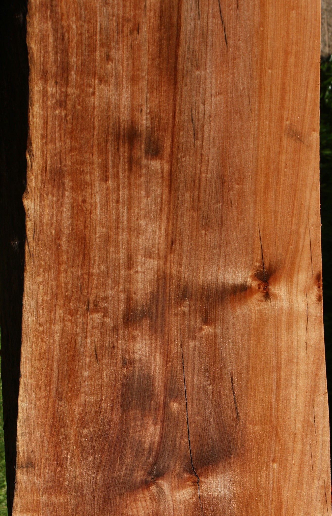 Figured Rustic Maple Live Edge Slab