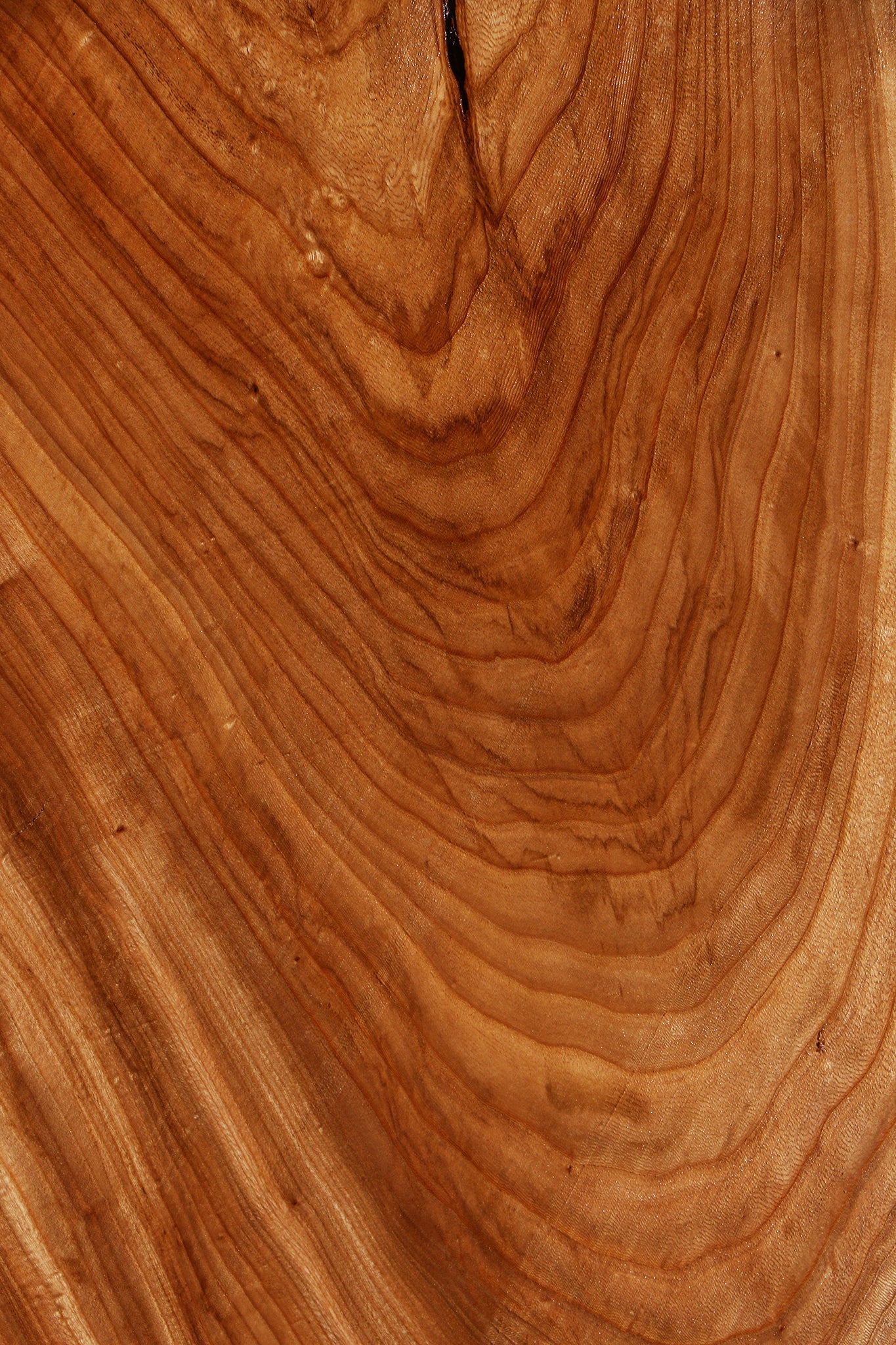 Elm Mini Slab