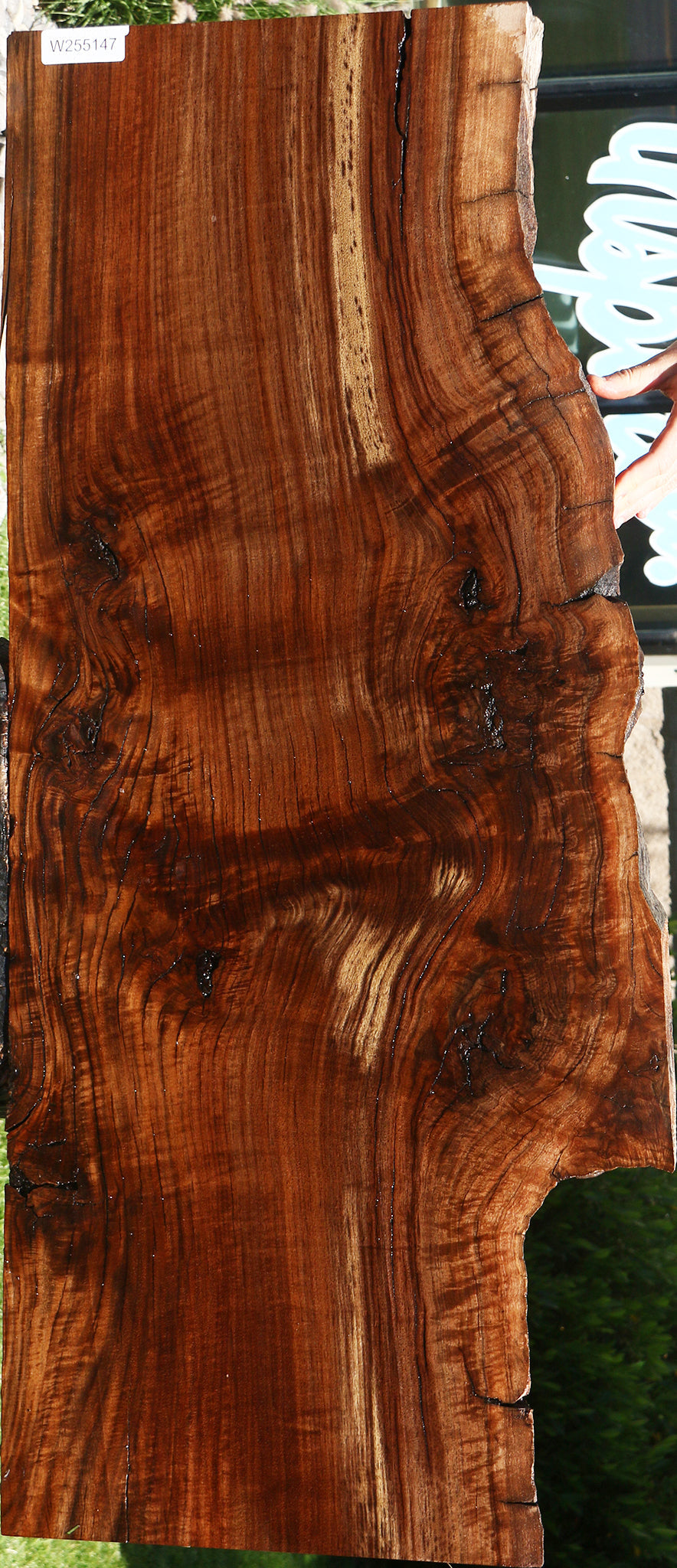 Figured Rustic Claro Walnut Live Edge Slab