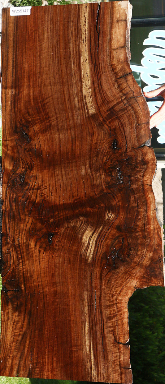 Figured Rustic Claro Walnut Live Edge Slab
