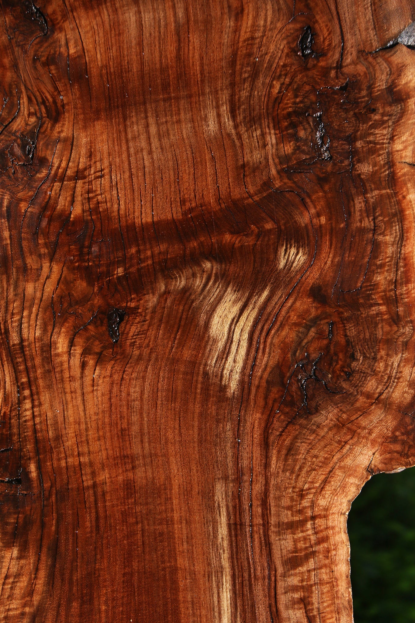 Figured Rustic Claro Walnut Live Edge Slab