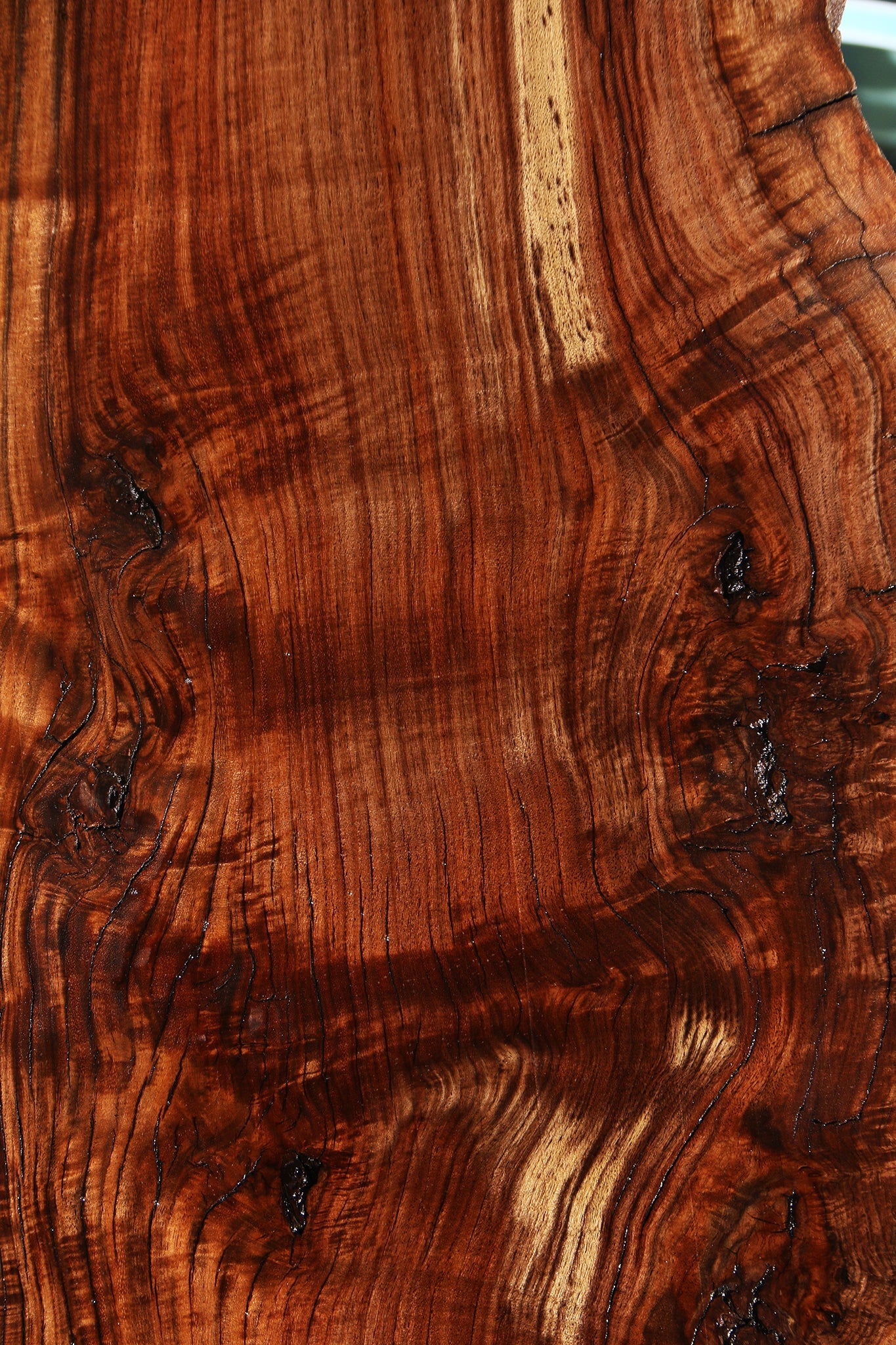 Figured Rustic Claro Walnut Live Edge Slab