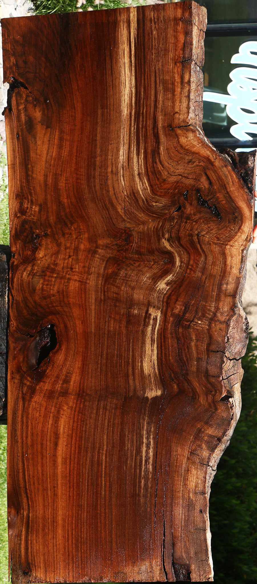Figured Rustic Claro Walnut Live Edge Slab