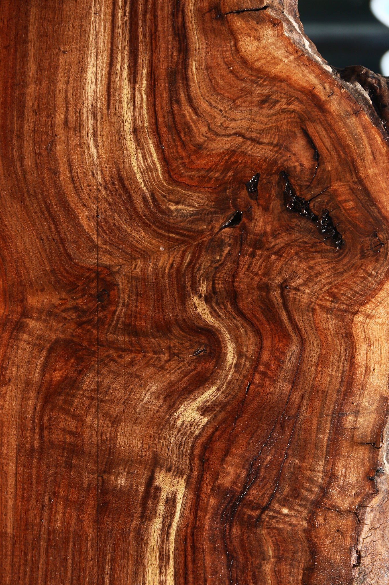 Figured Rustic Claro Walnut Live Edge Slab