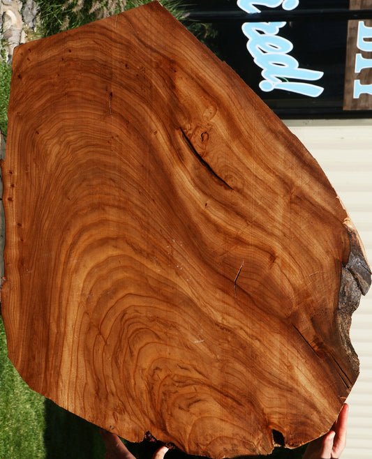Figured Elm Live Edge Mini Slab