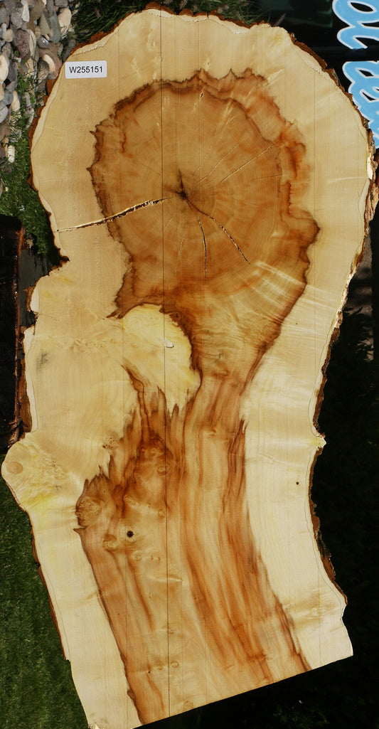 Figured Box Elder Live Edge Slab