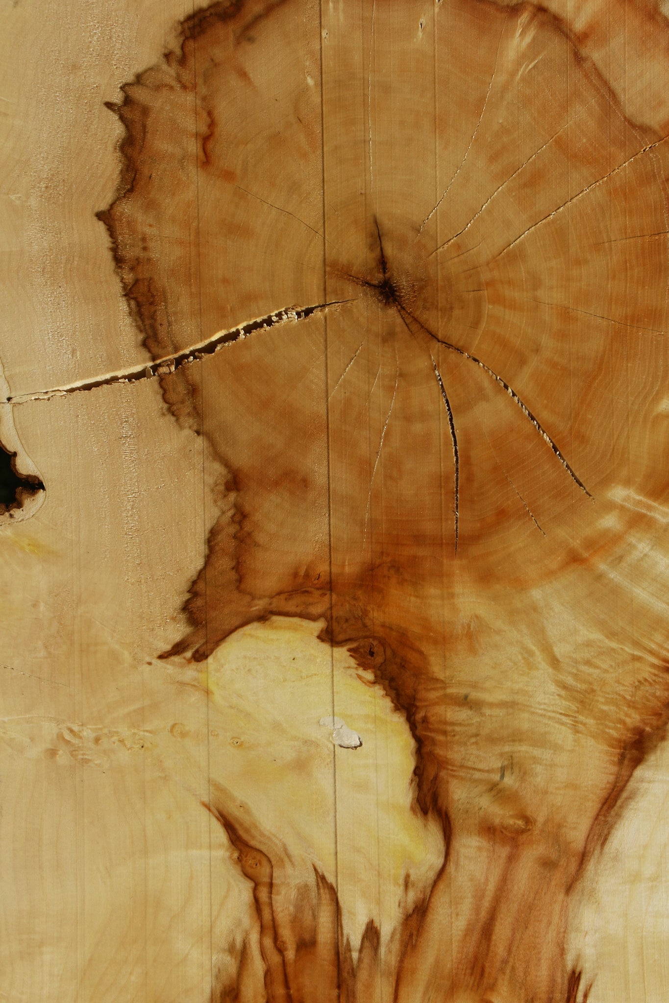 Figured Box Elder Live Edge Slab