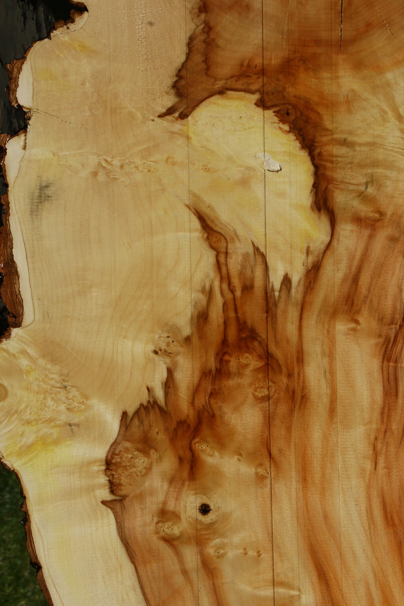 Figured Box Elder Live Edge Slab