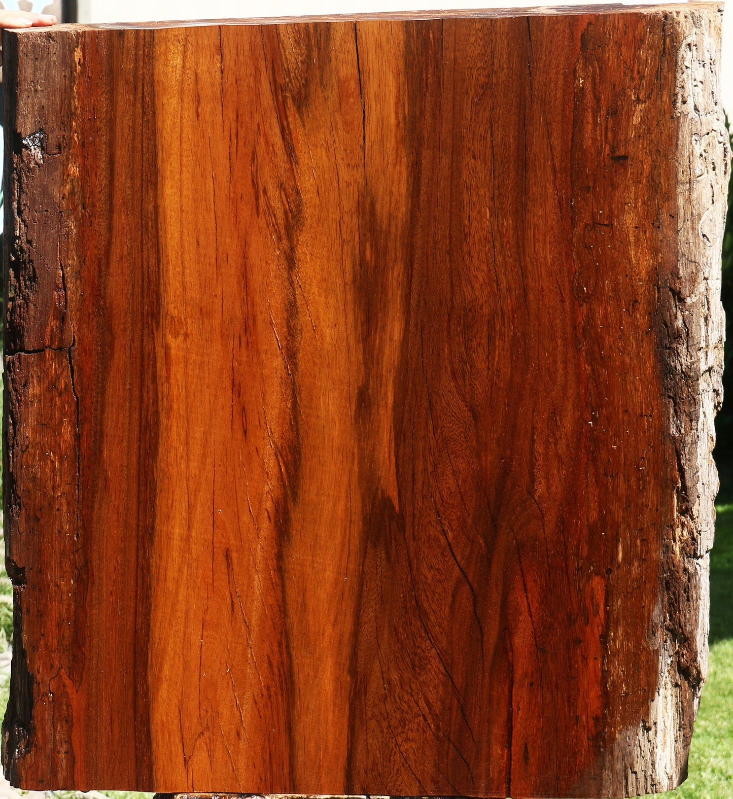 Suriname Live Edge Slab