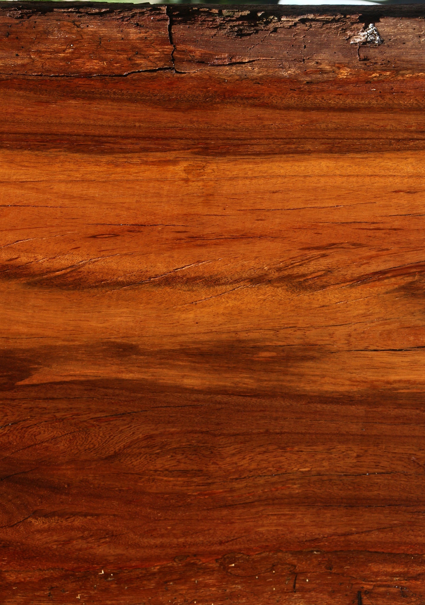 Suriname Live Edge Slab