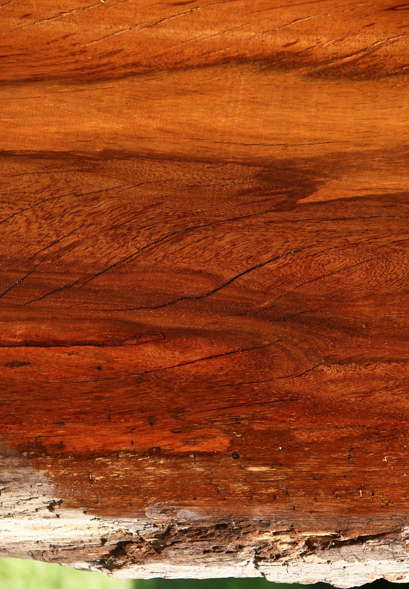 Suriname Live Edge Slab