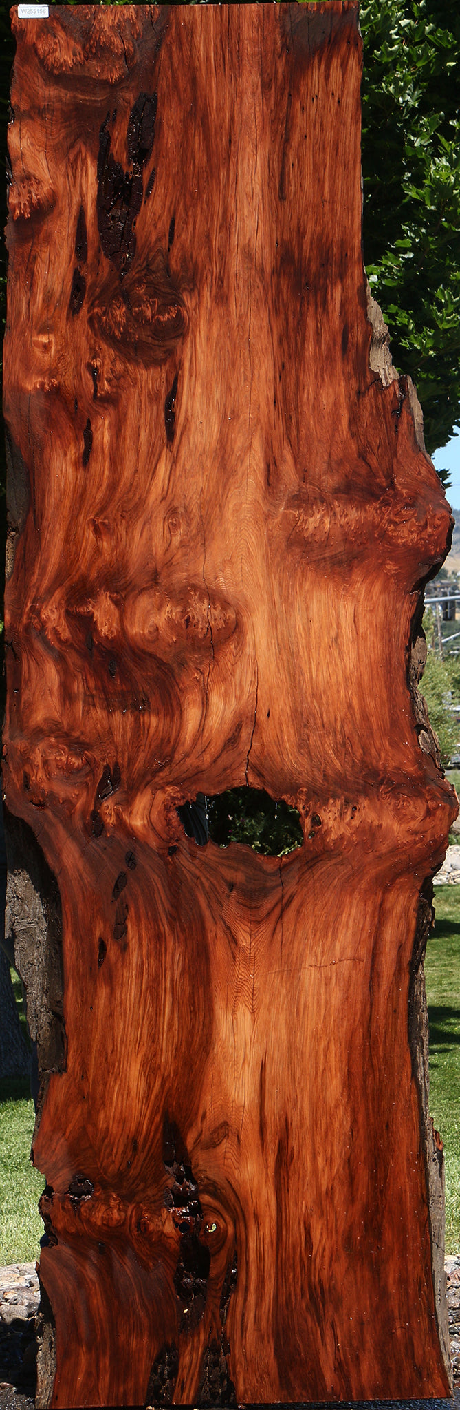 Rustic Redwood Live Edge Slab