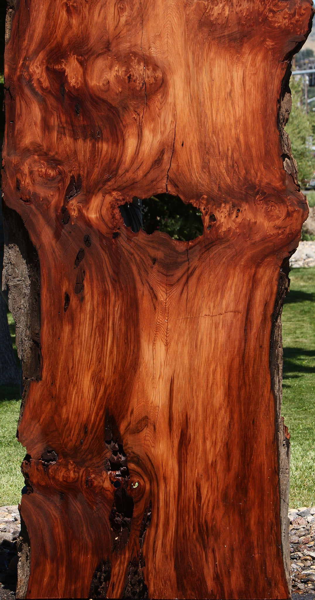 Rustic Redwood Live Edge Slab