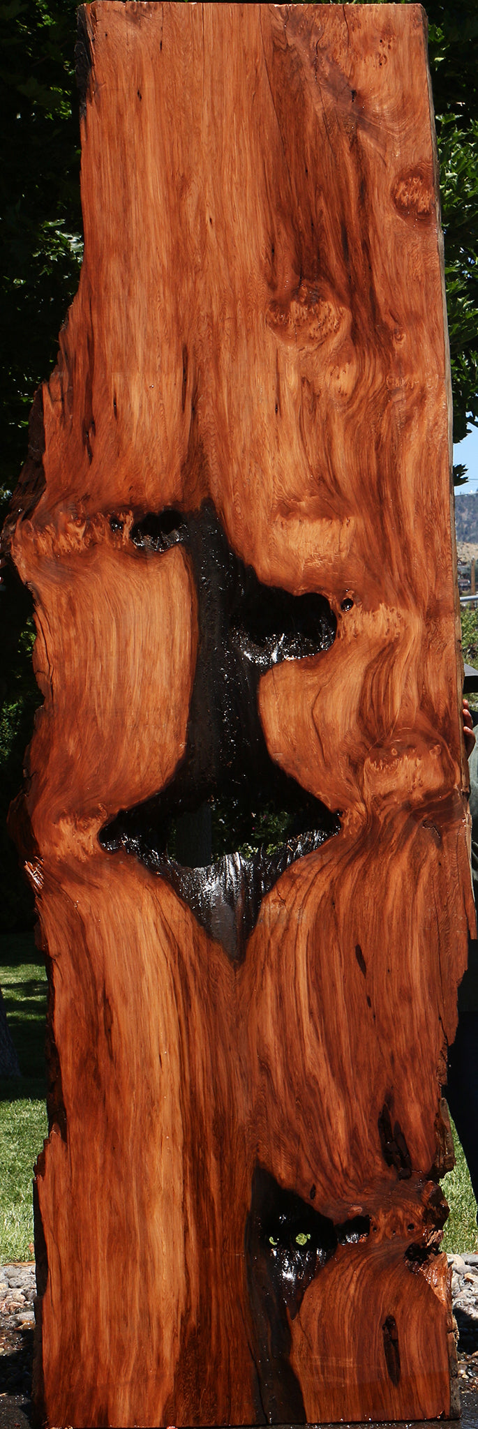 Rustic Redwood Live Edge Slab