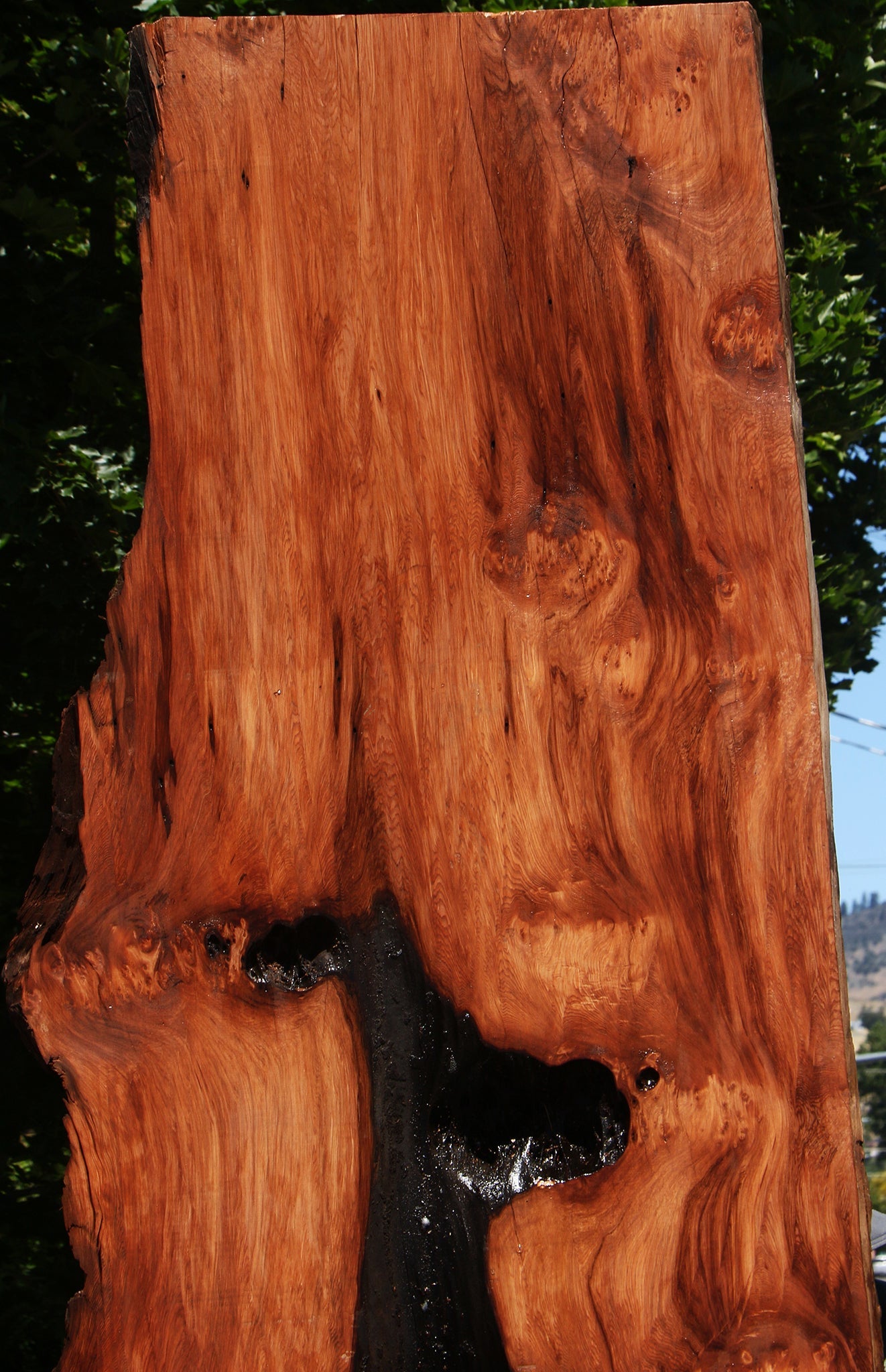 Rustic Redwood Live Edge Slab