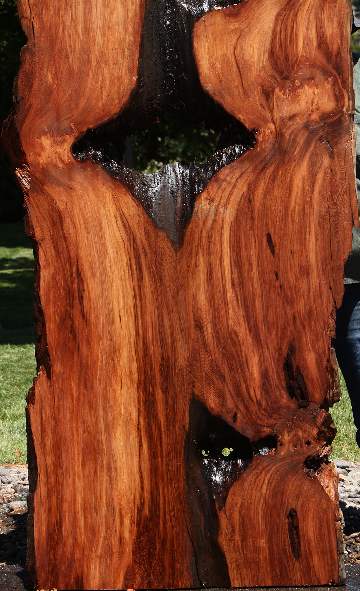 Rustic Redwood Live Edge Slab