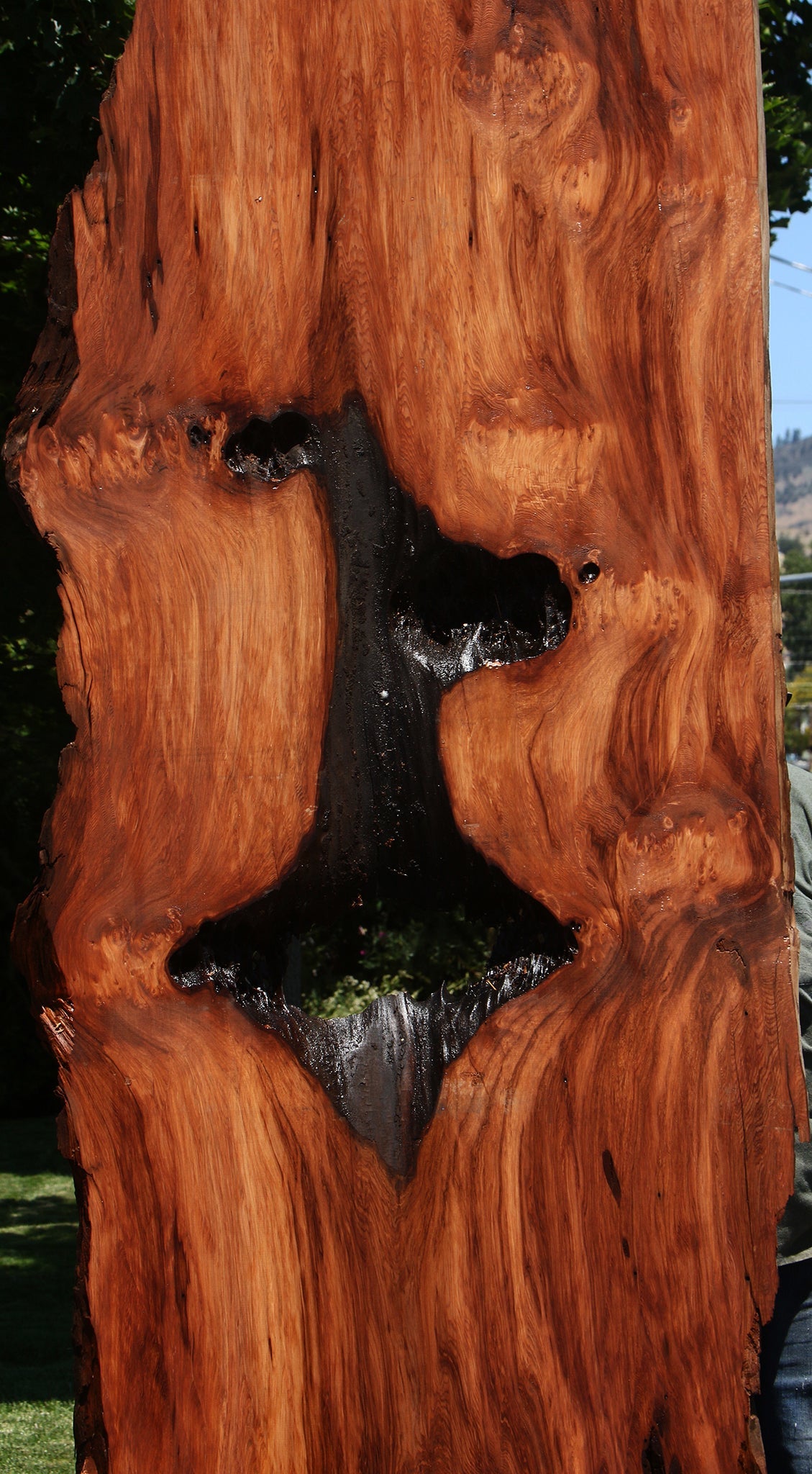 Rustic Redwood Live Edge Slab