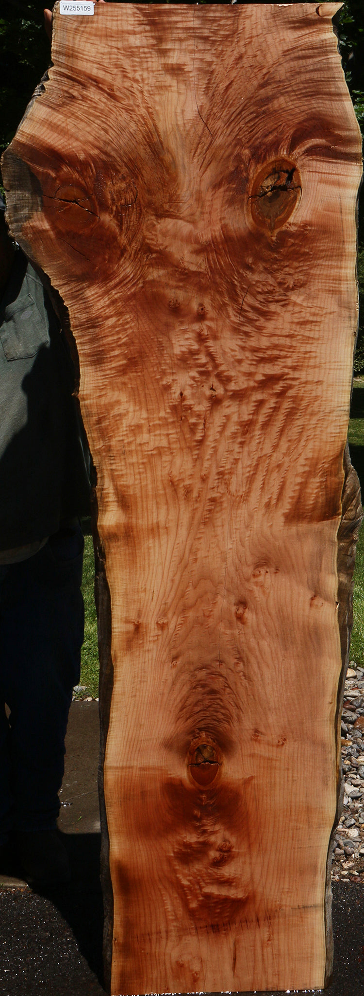 Extra Fancy Rustic Maple Live Edge Slab