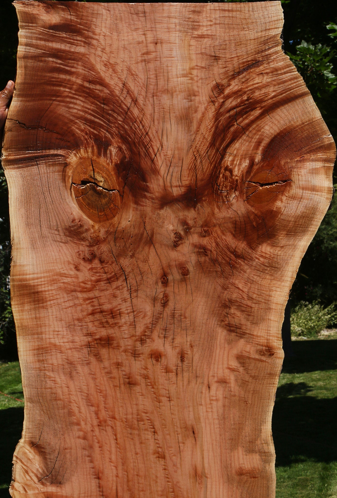 Extra Fancy Rustic Maple Live Edge Slab
