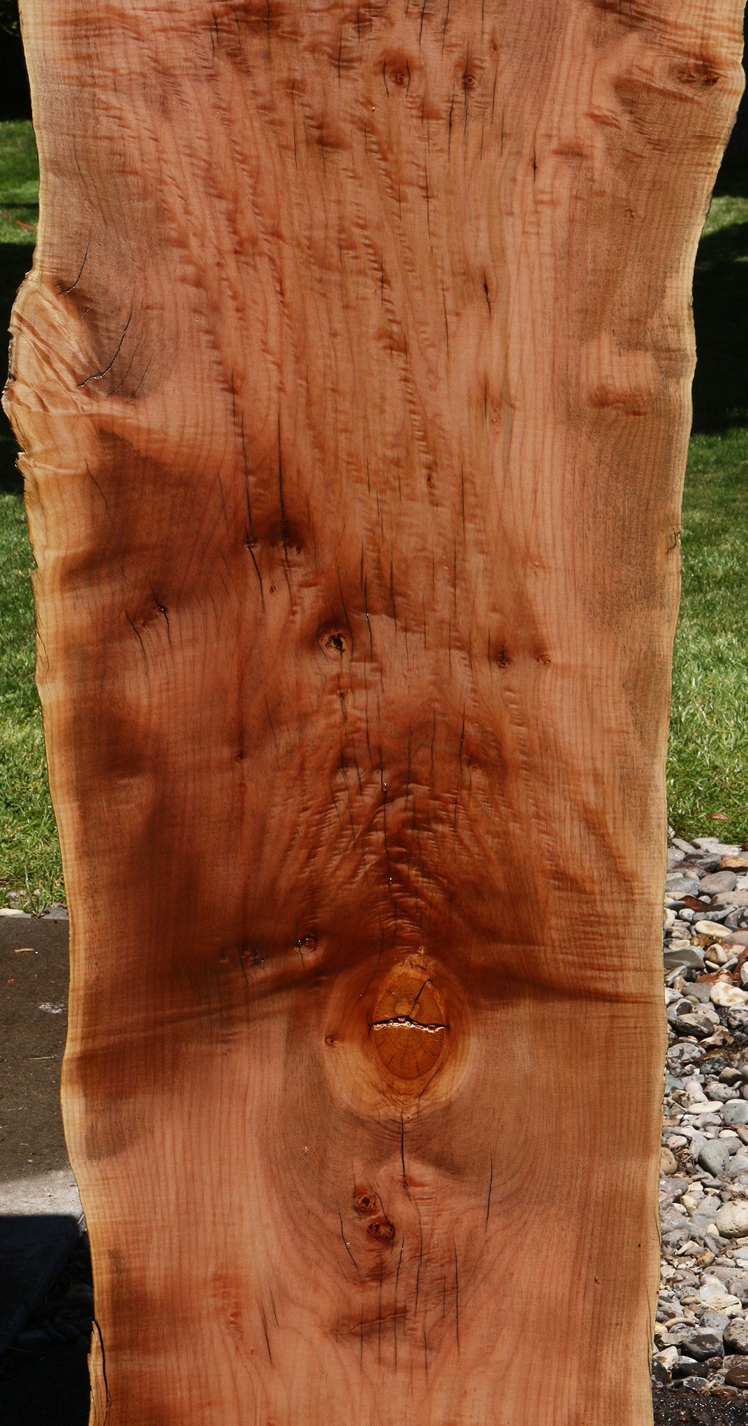 Extra Fancy Rustic Maple Live Edge Slab