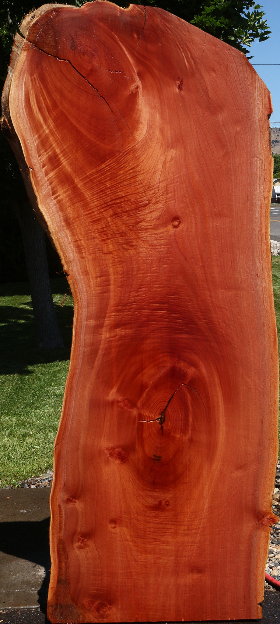 Rustic Brazilian Pepperwood Live Edge Slab