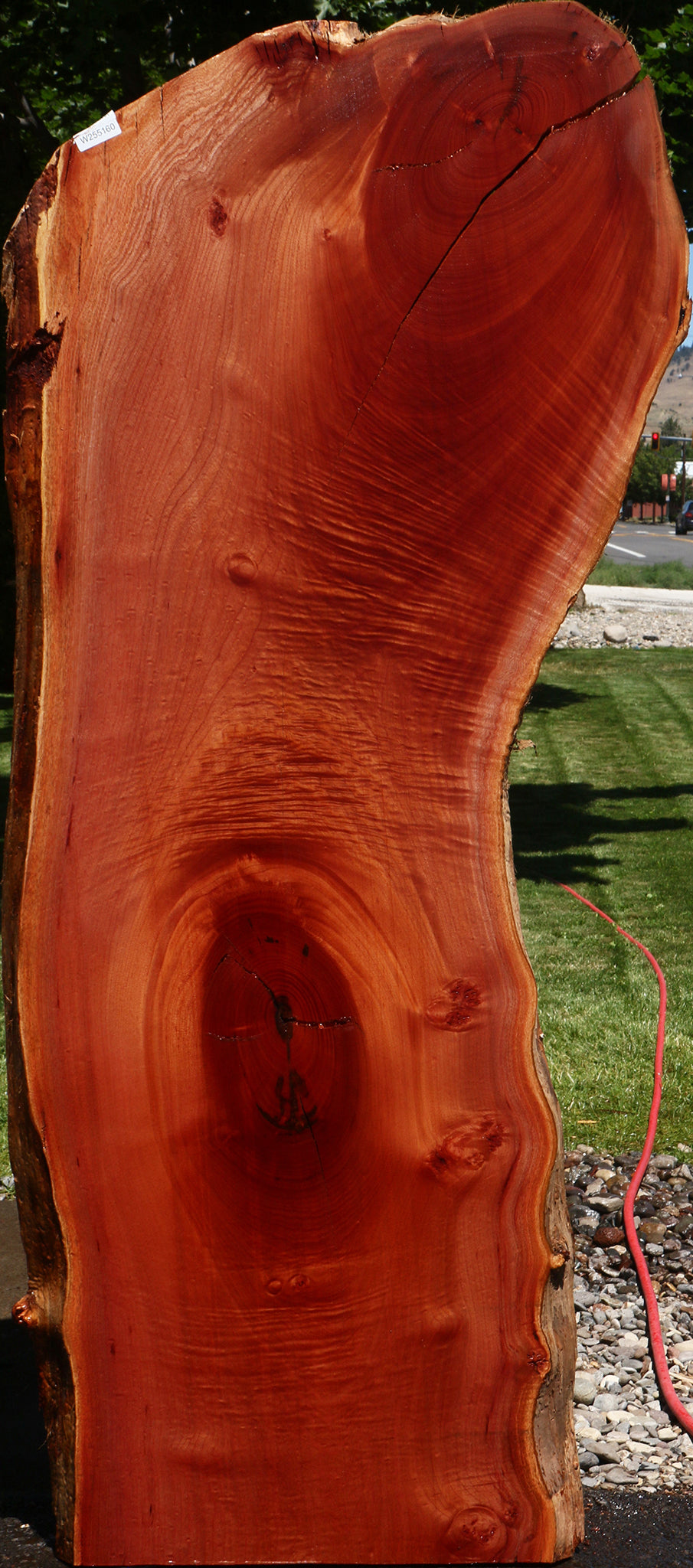 Rustic Brazilian Pepperwood Live Edge Slab