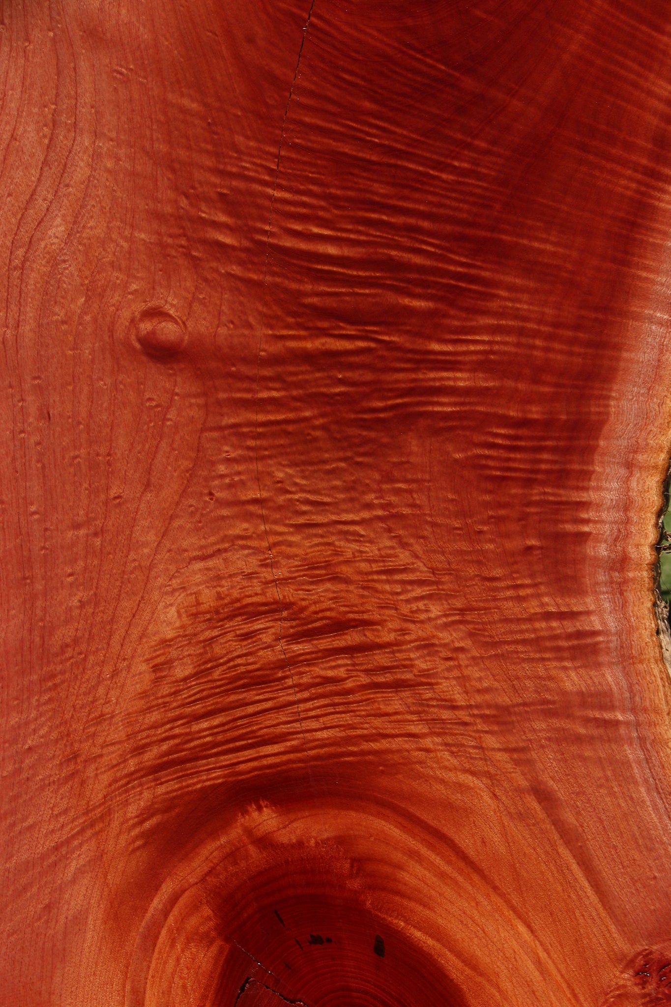 Rustic Brazilian Pepperwood Live Edge Slab