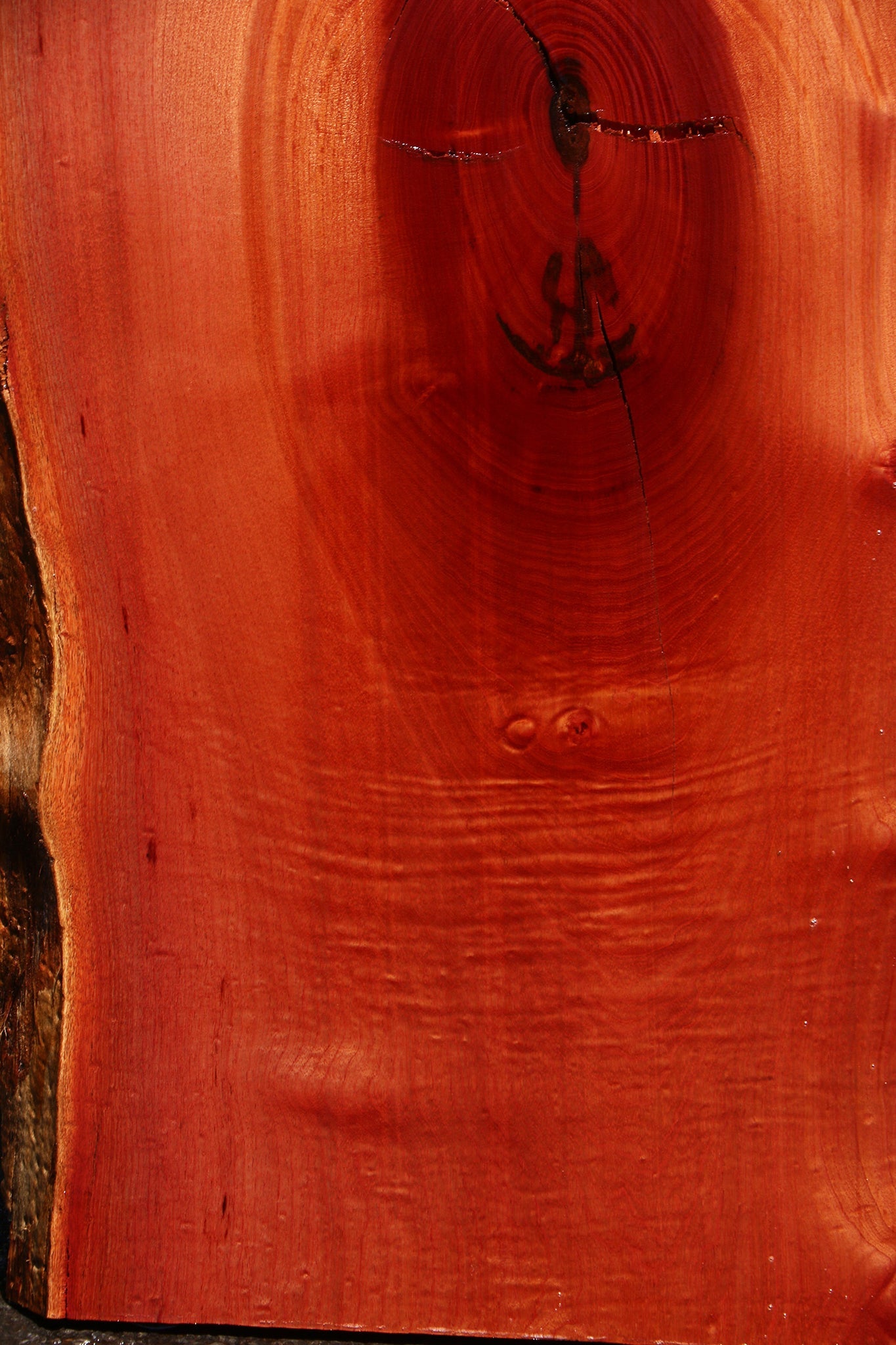 Rustic Brazilian Pepperwood Live Edge Slab