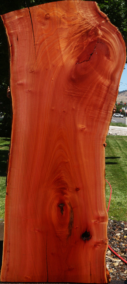 Rustic Brazilian Pepperwood Live Edge Slab