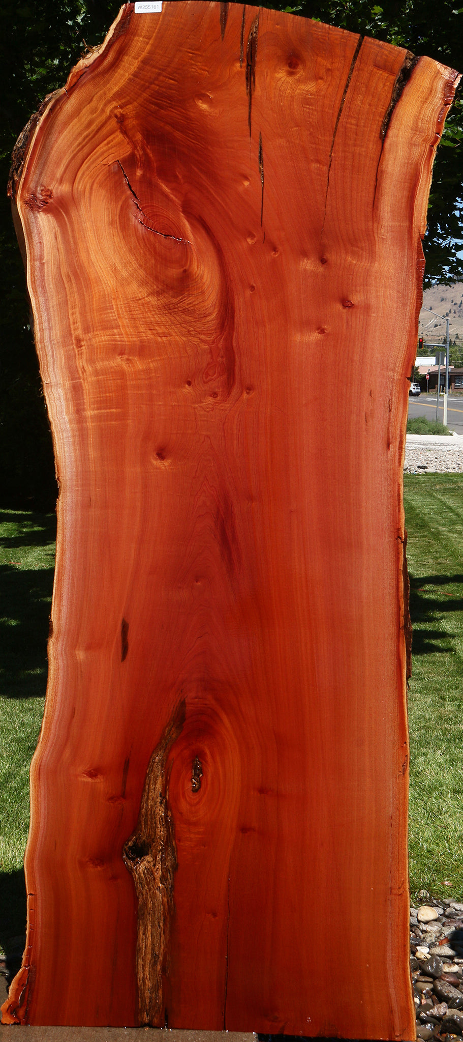 Rustic Brazilian Pepperwood Live Edge Slab