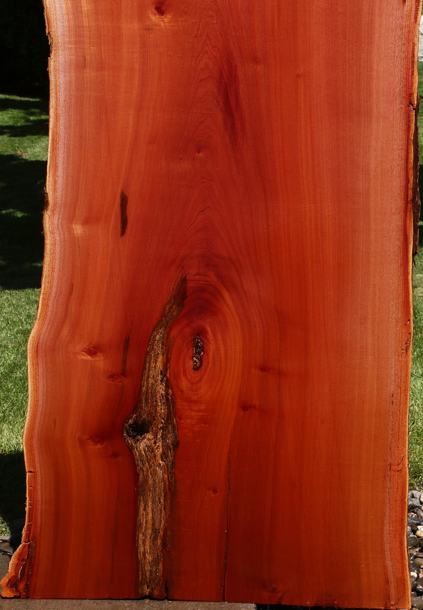 Rustic Brazilian Pepperwood Live Edge Slab