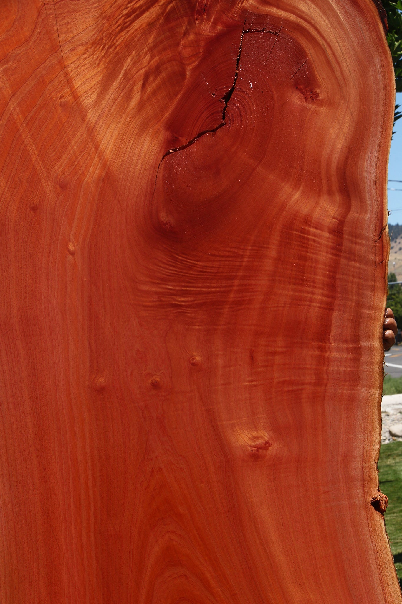 Rustic Brazilian Pepperwood Live Edge Slab