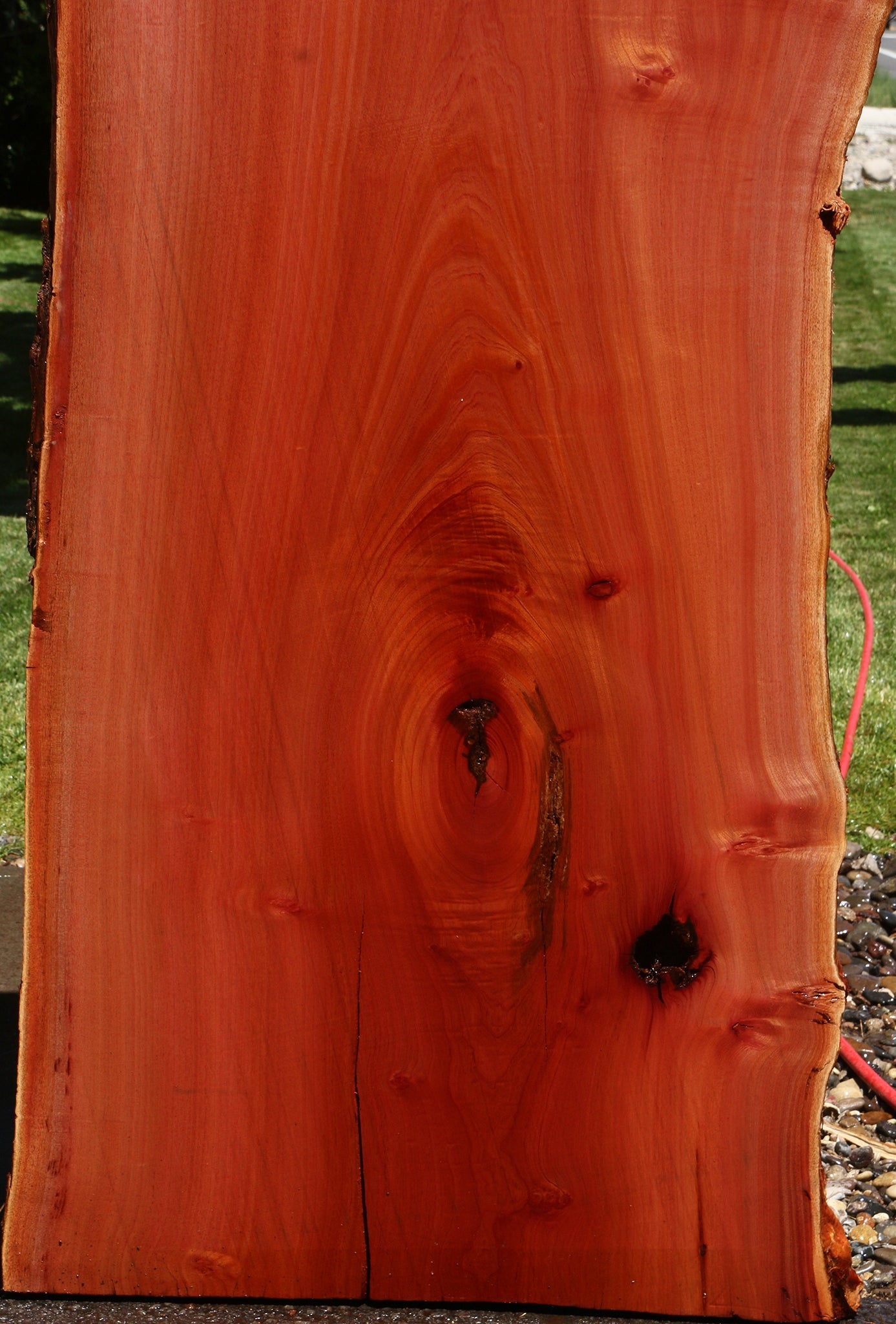 Rustic Brazilian Pepperwood Live Edge Slab