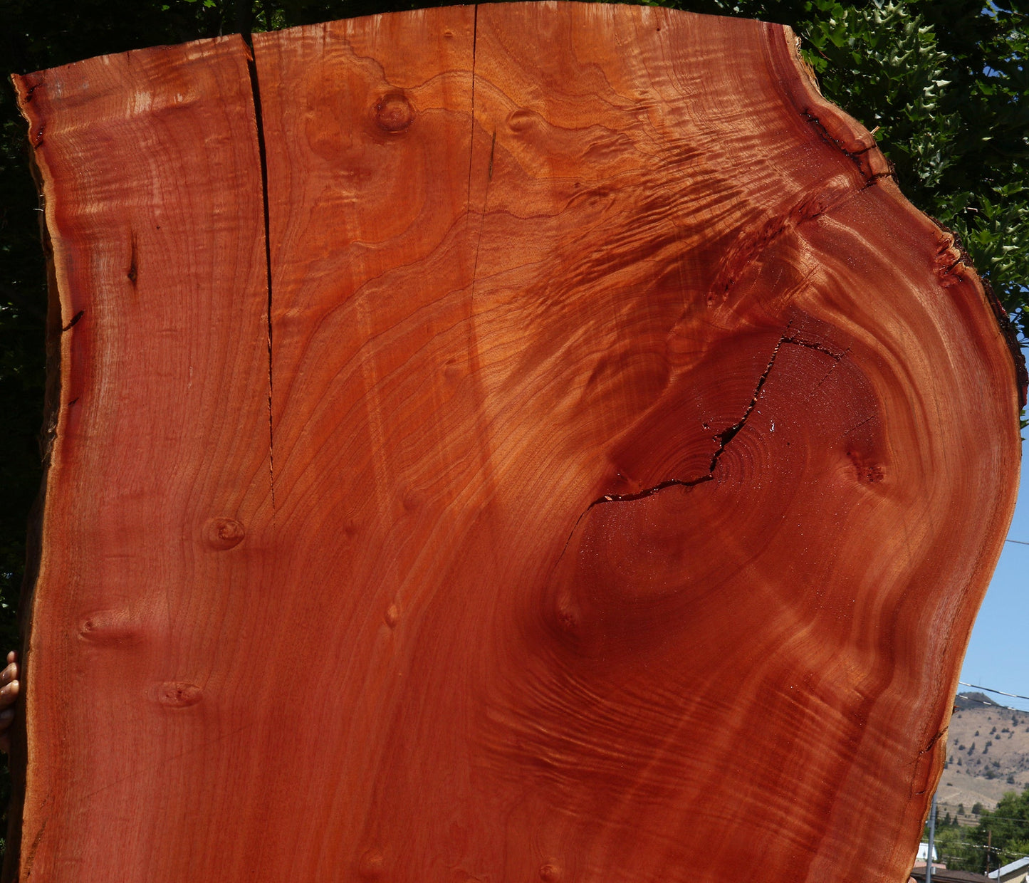 Rustic Brazilian Pepperwood Live Edge Slab
