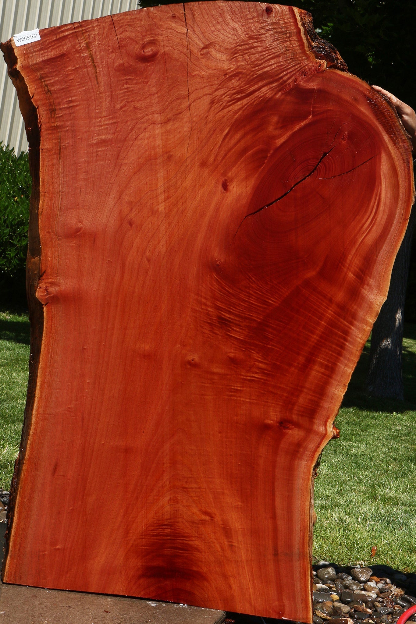Extra Fancy Brazilian Pepperwood Live Edge Slab