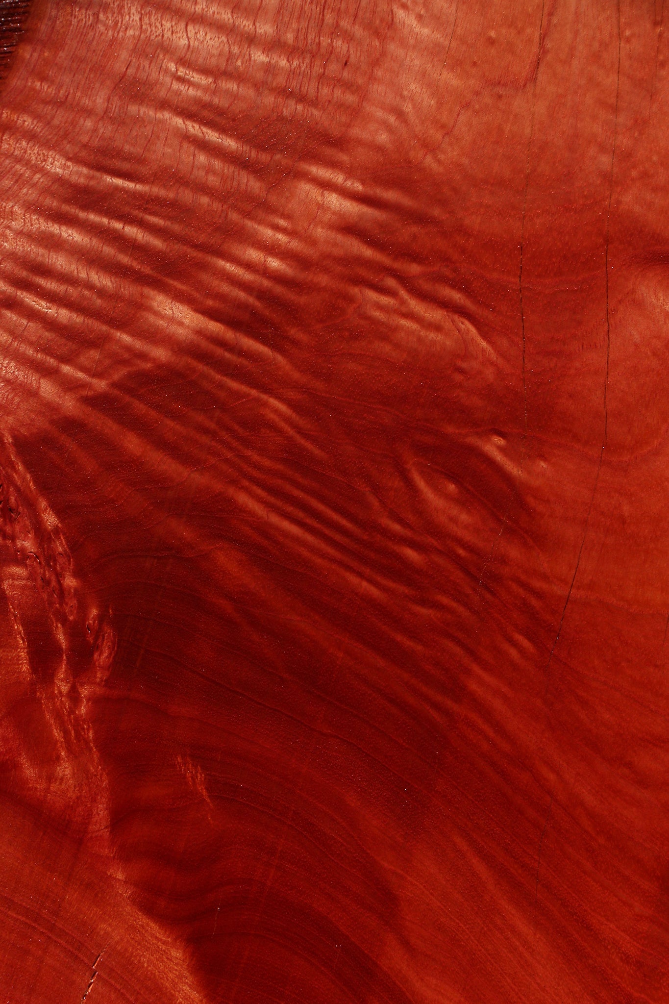 Extra Fancy Brazilian Pepperwood Live Edge Slab
