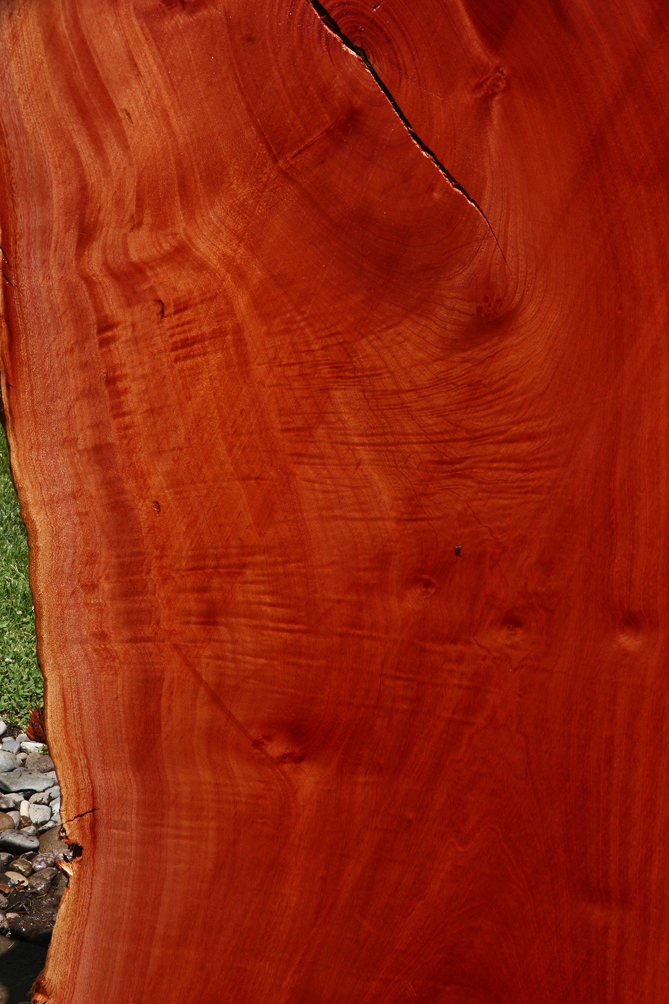 Extra Fancy Brazilian Pepperwood Live Edge Slab