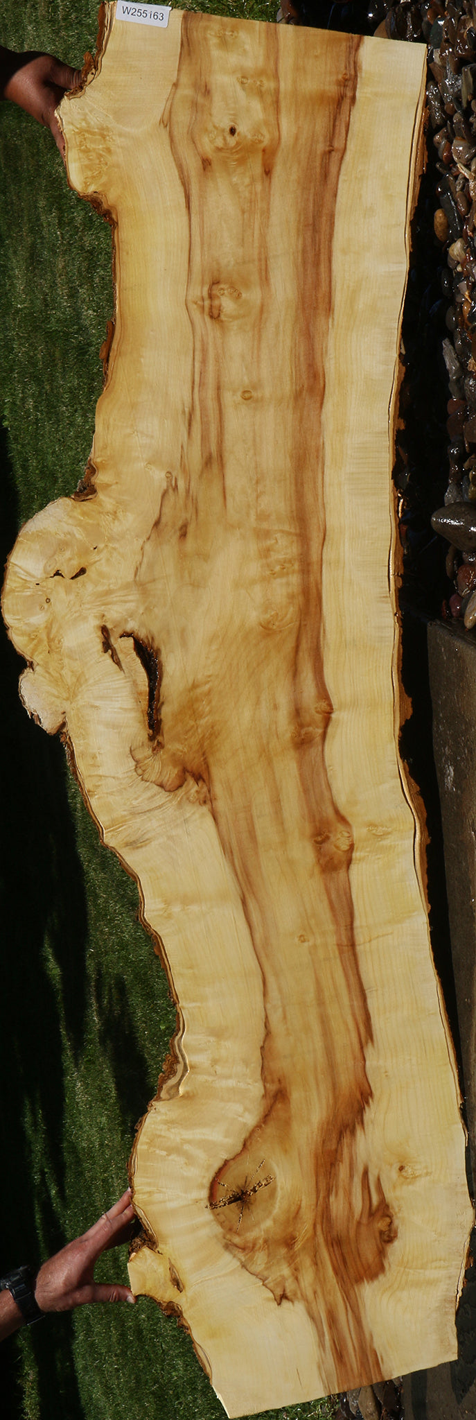 Figured Box Elder Live Edge Slab