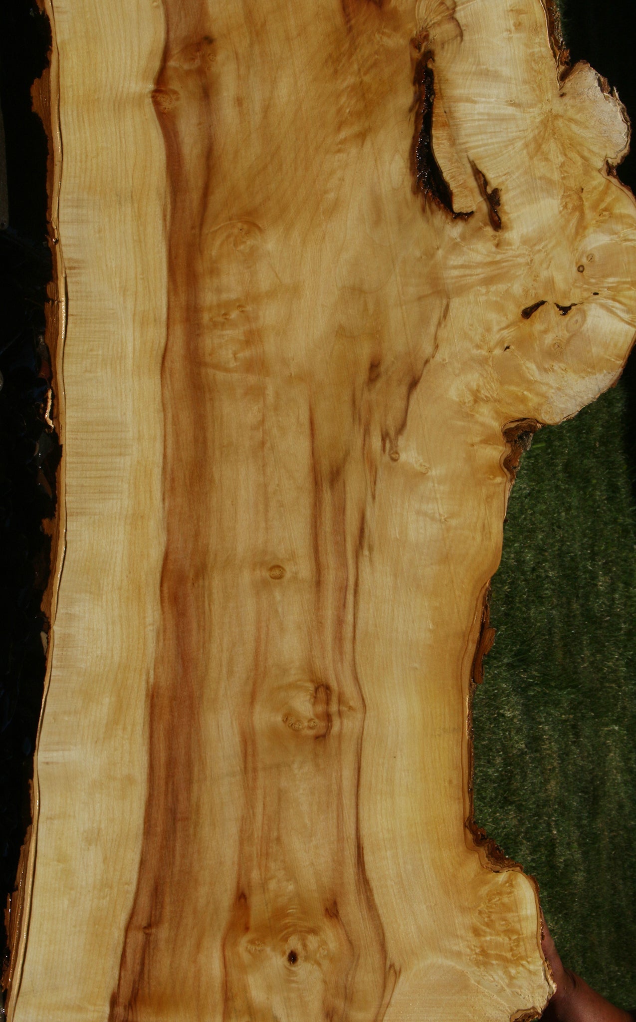 Figured Box Elder Live Edge Slab