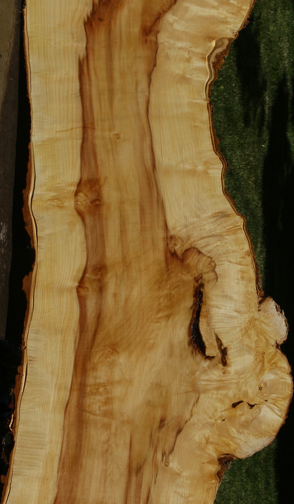 Figured Box Elder Live Edge Slab