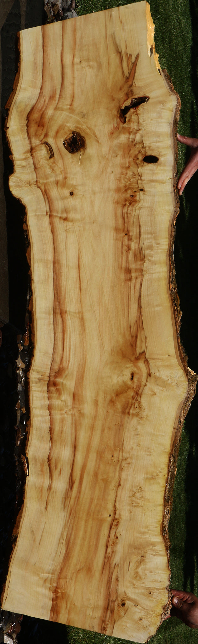 Figured Box Elder Live Edge Slab