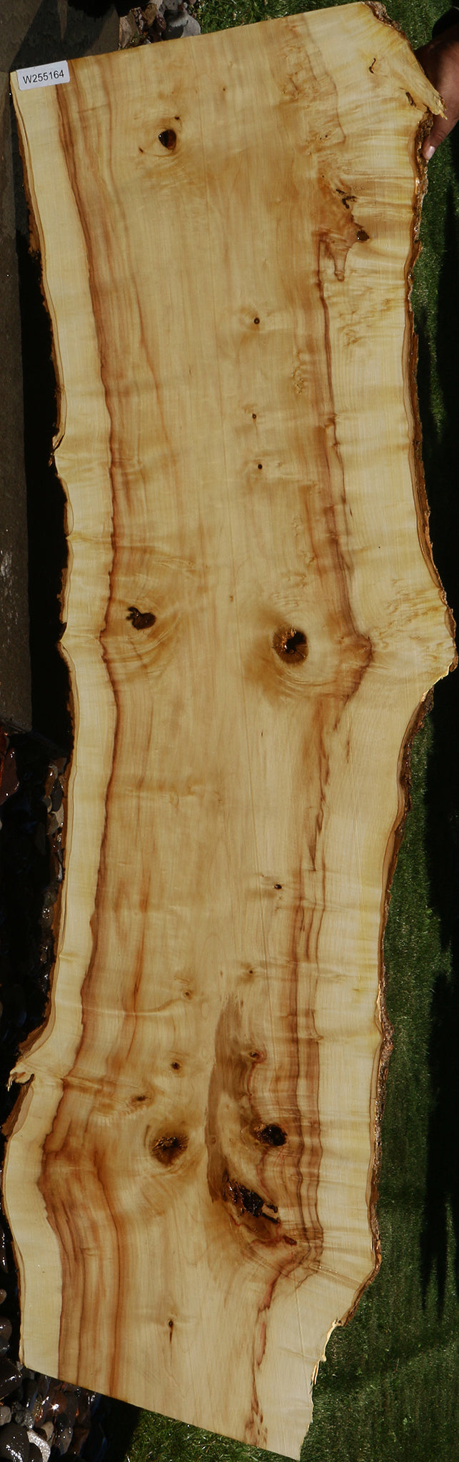 Figured Box Elder Live Edge Slab