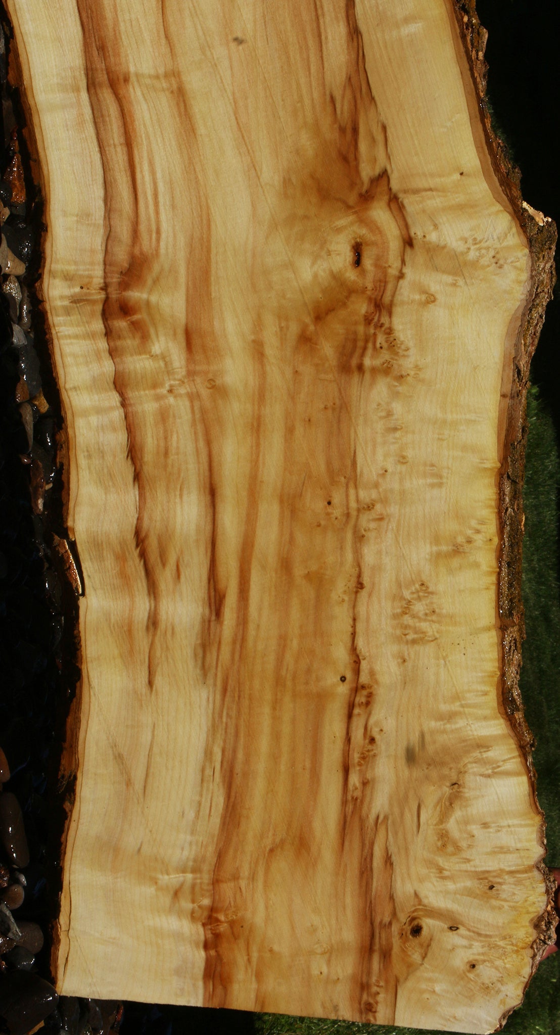 Figured Box Elder Live Edge Slab