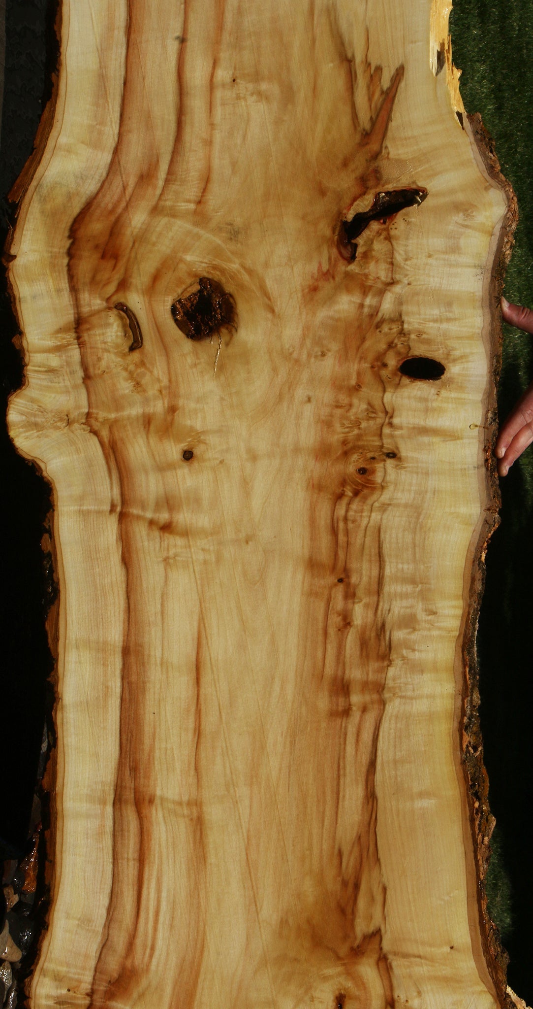 Figured Box Elder Live Edge Slab