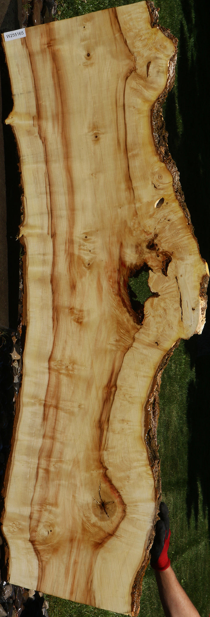Figured Box Elder Live Edge Slab