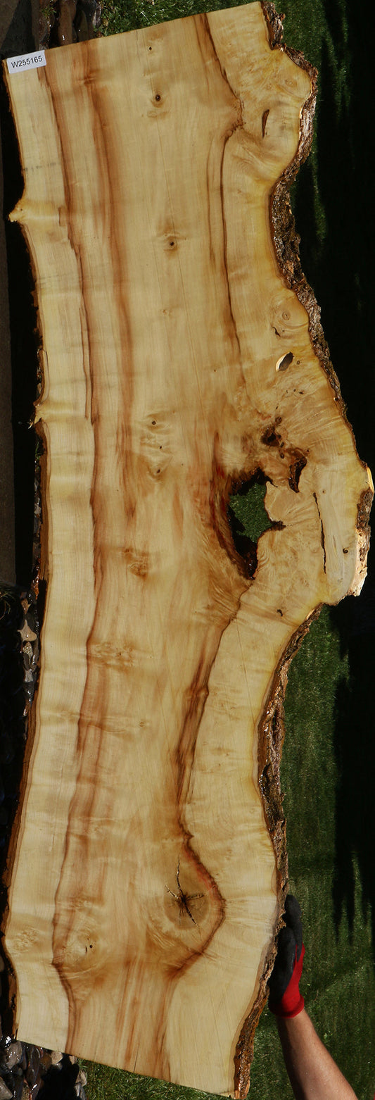 Figured Box Elder Live Edge Slab